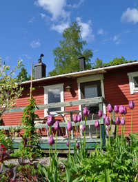 Bild av hus och tulpaner